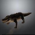 Realistic 3D Crocodile Model With Rough Skin And Spiked Back Open Mouth 3d model