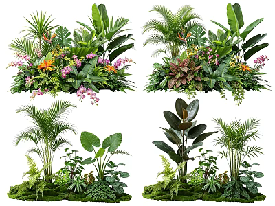 Tropical Plant Combinations With Diverse Foliage Colorful Flowers And Palm Leaves 3d model