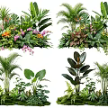 Tropical Plant Combinations With Diverse Foliage Colorful Flowers And Palm Leaves