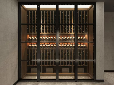 Modern Wine Cabinet With Glass Doors Metal Frame And Illuminated Wooden Wine Racks 3d model