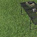Outdoor Camping Table With Metal Legs For Grassland Use Featuring Laptop Cup And Yellow Fruits