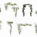 Decorative Vines In Various Shapes For Interior Design Elements