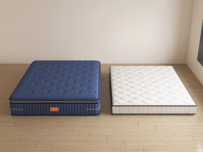 Blue And White Mattresses With Diamond Patterns On Wooden Floor In Simple Room 3d model