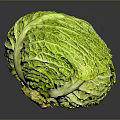 Fresh Green Cabbage With Textured Leafy Outer Layers On Dark Surface 3d model