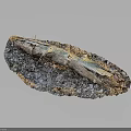 Natural Wood and Stone Decorative Piece with Textured Surface and Contrasting Colors