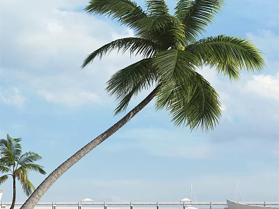 Palm Tree with Leaning Trunk and Green Fronds Against Blue Sky White Clouds Near Pier 3d model
