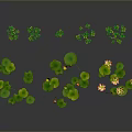 Beautiful Lotus Flowers And Green Leaves Floating On Water Surface With Small Plants