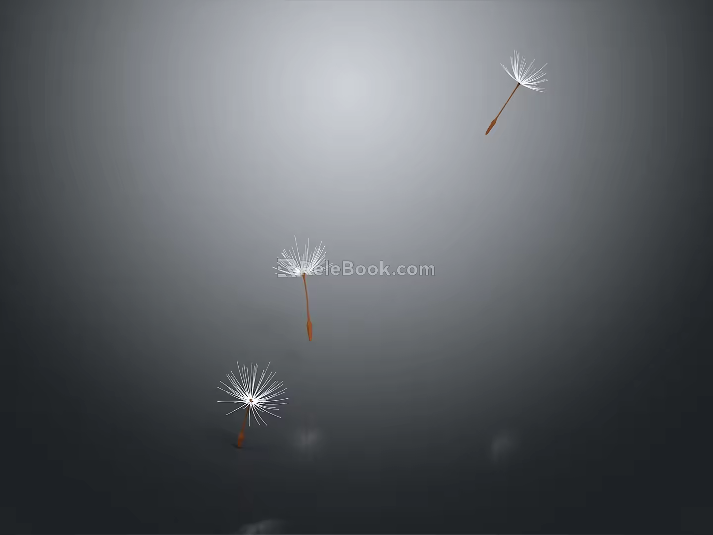 modern dandelion flowers weeds 3d model