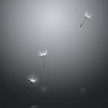 modern dandelion flowers weeds 3d model