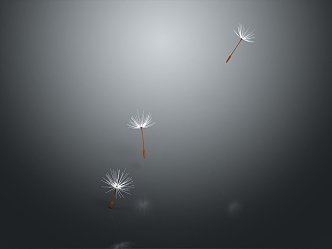 modern dandelion flowers weeds 3d model