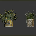 Indoor Decorative Plants with Yellow Flowers Green Foliage in Red Cup Transparent Bucket and Yellow Pot