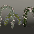 Outdoor Garden Pergola with Lush Green Vines and Colorful Pink Blue Flowers