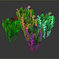 Clustered Lily of the Valley Plants with Green Leaves White Pink Flowers and Orange Blooms
