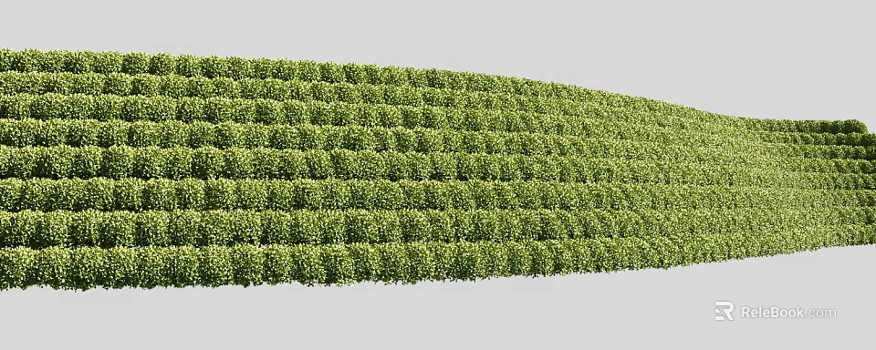 Lush Green Shrubs Neatly Trimmed As Natural Hedge In Garden Landscape 3d model 