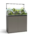 Freshwater Aquarium Setup with Natural Rock Formations Aquatic Plants and LED Lighting