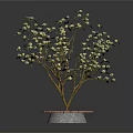 Decorative Flowering Tree With White Blossoms On Circular Pink And Gray Base 3d model