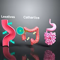 Mouth Intake Of Laxatives And Cathartics Affecting Intestinal Digestive Process