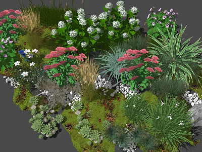 Various Ornamental Shrubs With Colorful White Pink Flowers In Garden Landscape Design 3d model
