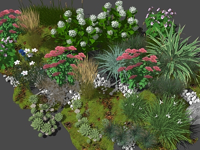 Modern shrubs and flowers model