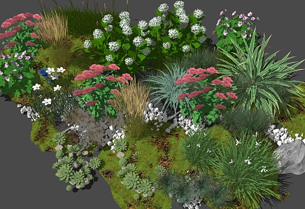 Modern shrubs and flowers 3d model