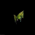 Interactive Technology Exhibition Hall Showcasing 3D Butterfly With Colorful Geometric Wings Design
