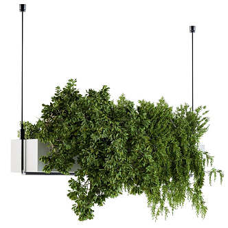 Modern hanging basket green plant hanging basket 3d model