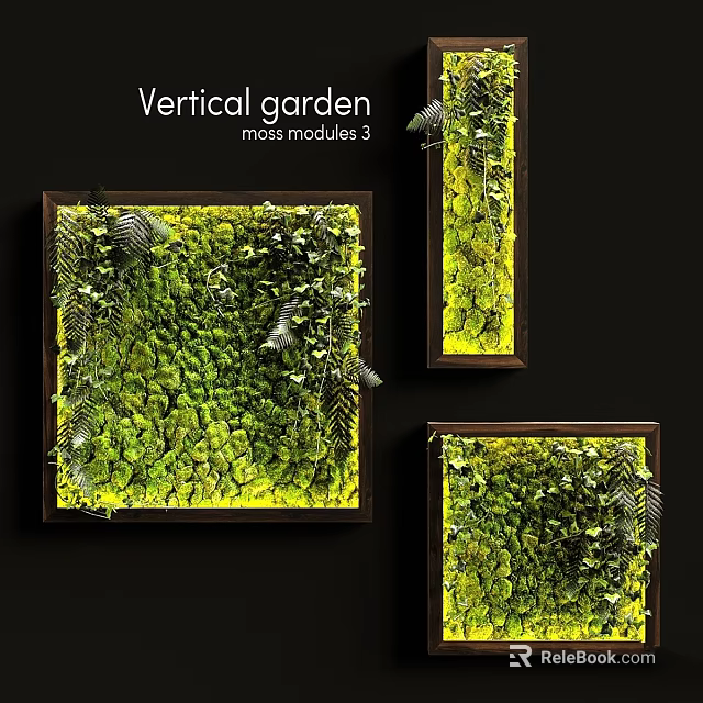 Decorative Ornament Set With Vertical Garden Moss Modules And Green Wall Decor 3d model