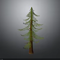 Tall Green Pine Tree With Brown Trunk And Lush Pine Needles 3d model
