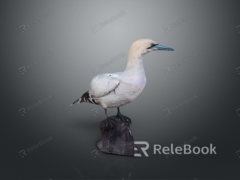 bird bird bird bird game animal cartoon animal animal realistic animal model