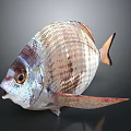 Shiny Silver Scaled Fish With Orange Eyes Open Mouth And Extended Fins