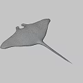 Black and White Manta Ray Featuring Unique Pattern and Long Tail in Blue Water