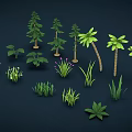 Different Types of Green Plants Including Trees Grasses and Flowering Varieties
