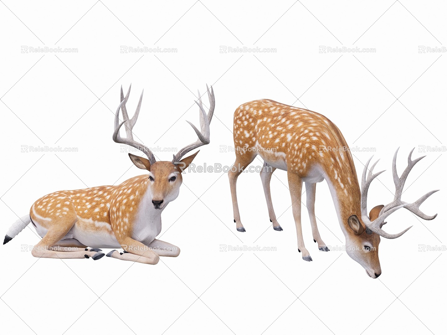 animal deer 3d model