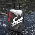 Transparent Suitcase With Red And Black Sneakers Inside On Water Surface
