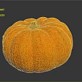 Vibrant Orange Ripe Whole Pumpkin with Smooth Surface on Dark Background