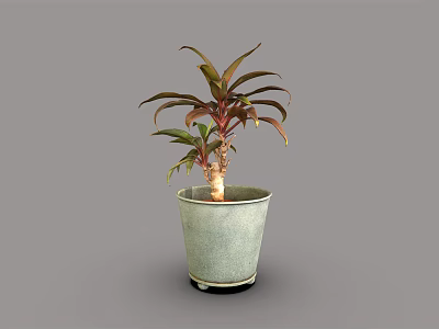 Decorative Plant With Red And Green Leaves In Green Ceramic Pot 3d model