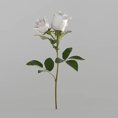 flower flower rose flower 3d model flower flower rose flower 3d model