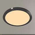 Modern Round Ceiling Light with White Illumination and Sleek Dark Frame for Home Interior 3d model