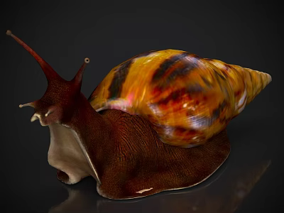 Reptile Snail With Brown Textured Body Antennae And Orange Yellow Striped Shell On Dark Background 3d model