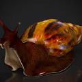 Reptile Snail With Brown Textured Body Antennae And Orange Yellow Striped Shell On Dark Background