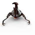 Modern unicorn rhinoceros beetle triangle beetle shell insect 3d model