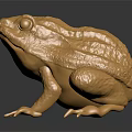 Golden Frog Statue With Textured Surface And Shiny Appearance On Black Base