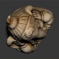 Light Brown Ganesha Sculpture With Detailed Trunk Ears Seated Posture On Dark Background With Reflection