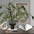 Elegant Decorative Ornament Combination With Green Plant Vase Open Book And Artwork