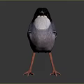 Decorative Bird Figurine With Black Head White Belly And Red Legs For Home Decor