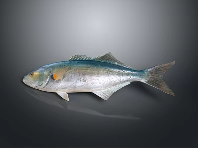 Shiny Silver Fish With Metallic Blue Glow And Streamlined Body Structure 3d model