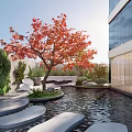 Modern Courtyard Garden With Red Maple Tree Pond Stone Path And Green Wall