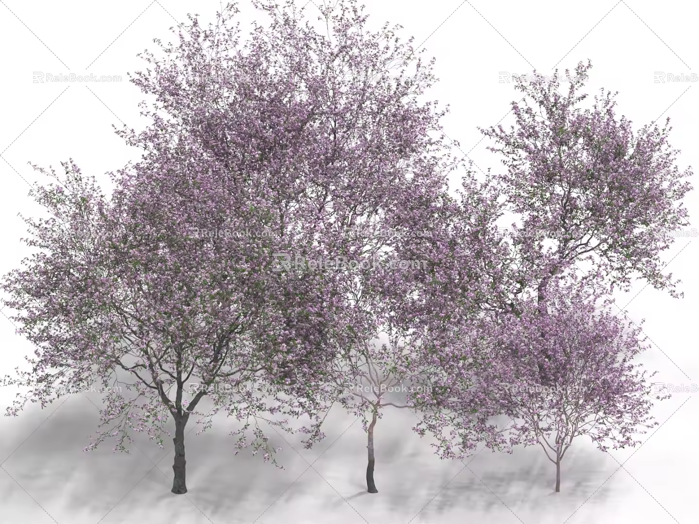 Almond Tree Peach Tree Peach Tree Landscape Tree Street Tree Flower Tree Fruit Tree 3d model