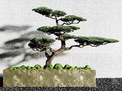 Artistic Bonsai Tree In Rectangular Concrete Planter With Small Green Plants 3d model