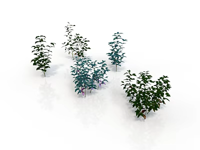 Green Plants With Various Sizes Shapes And Lush Leaves On White Background 3d model